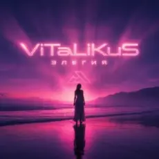 Обложка: ViTaLiKuS - Элегия