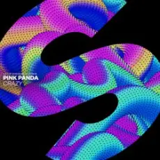 Обложка: Pink Panda - Crazy