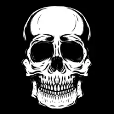 Обложка: PHo4JK - ZiiiOUA