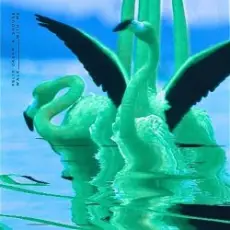 Обложка: Felix Jaehn & Shouse - Walk With Me