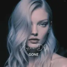 Обложка: Amir DJ - Go Away