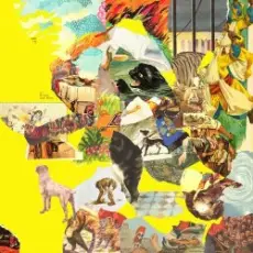 Обложка: The Homesick - Pawing