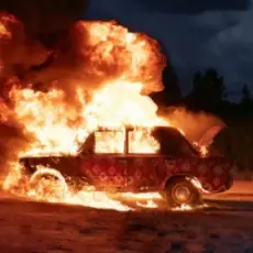 Обложка: Oliver Tree - Joyride