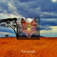 Обложка: Savannah - Day After Day & Night