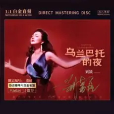 Обложка: Liu Ying - Moscow Suburbs At Night