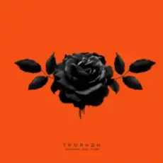 Обложка: kavabanga Depo kolibri – Троянди