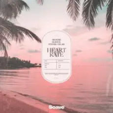 Обложка: Montri & Survol - Heart Rate (feat. Stefan Celar)