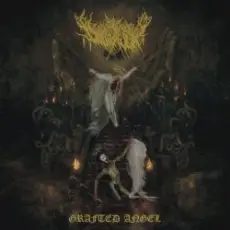 Обложка: Dollhaver - Spitting Moths