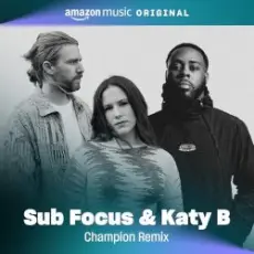 Обложка: Sub Focus feat. Katy B - Push The Tempo (Champion Remix)