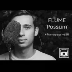 Обложка: Flume - Possum