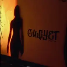 Обложка: Yaktak - Силует