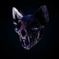 Обложка: Darci - Wild Horse