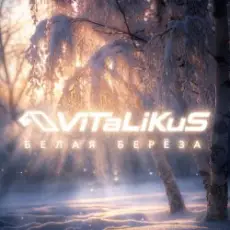 Обложка: ViTaLiKuS - Белая берёза