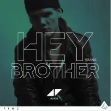 Обложка: Avicii - Hey Brother (Syn Cole Remix)