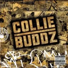 Обложка: Collie Buddz - Blind To You (Haters)