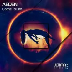 Обложка: Aeden - Not a pirate