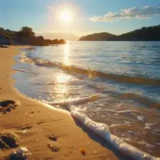 Обложка: ОДМ - UP