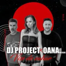 Обложка: DJ Project & Oana Matache - Vise de Zahar