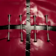 Обложка: Lady Gaga - Abracadabra (Gesaffelstein Remix)