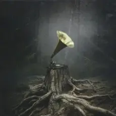 Обложка: Аквариум - Бой Баба