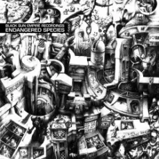 Обложка: Black Sun Empire - Stranger