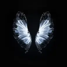 Обложка: Whales - Believe