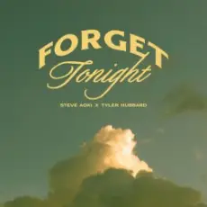 Обложка: Steve Aoki - Forget Tonight (feat. Tyler Hubbard)