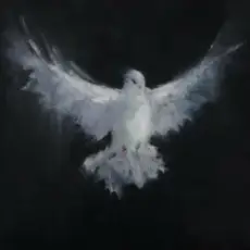 Обложка: Evo 28 - Funk Spirit