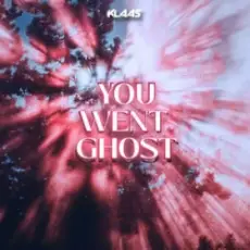 Обложка: Klaas - You Went Ghost