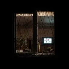 Обложка: Honeyfrequency - Курьер