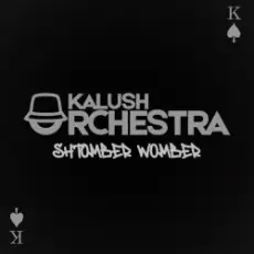 Обложка: KALUSH - Shtomber Womber (Kalush Orchestra)