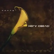 Обложка: Ногу свело! - Ave Maria