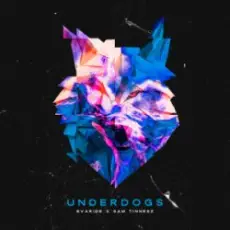 Обложка: Evaride & Sam Tinnesz - Underdogs