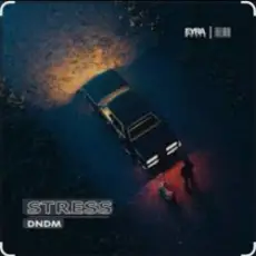 Обложка: DNDM - Stress