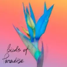 Обложка: From:Ksusha & Yongue - Birds Of Paradise