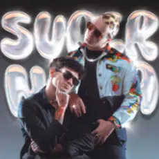 Обложка: MellSher & 5opka – Лонг Айленд