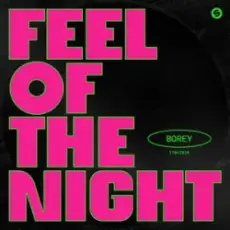 Обложка: Borey - Feel Of The Night