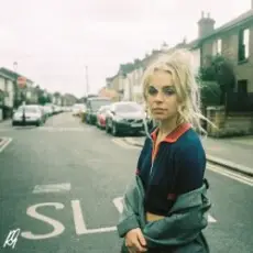 Обложка: Rose Gray - Blue