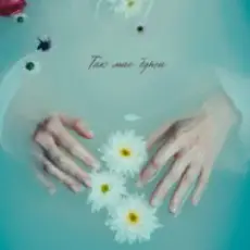 Обложка: Мята - Так має бути