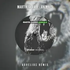 Обложка: Martin Garrix - Animals (Aurelios Remix)