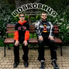 Обложка: IVAN LIULENOV & DAMNITSKYI - Шовковиця