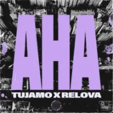 Обложка: Tujamo & Relova - Aha