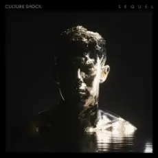 Обложка: Sub Focus feat. Culture Shock - Move Higher