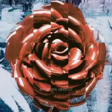 Обложка: NAQT VANE - Beautiful Mess - NV