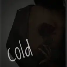 Обложка: Dos Ton - Cold