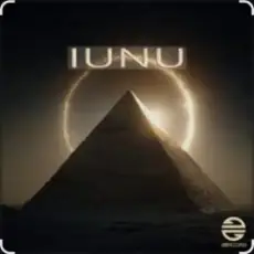 Обложка: Ummet Ozcan - Iunu (Extended Mix)