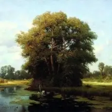 Обложка: Льонок - Шумiла сосна i явiр