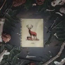 Обложка: Of The Trees & LYNY - Hollow