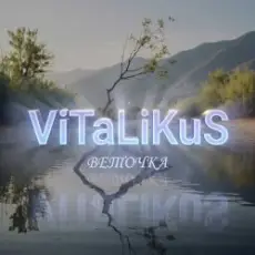Обложка: ViTaLiKuS - Веточка