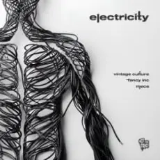 Обложка: Vintage Culture, Fancy Inc, Meca - Electricity